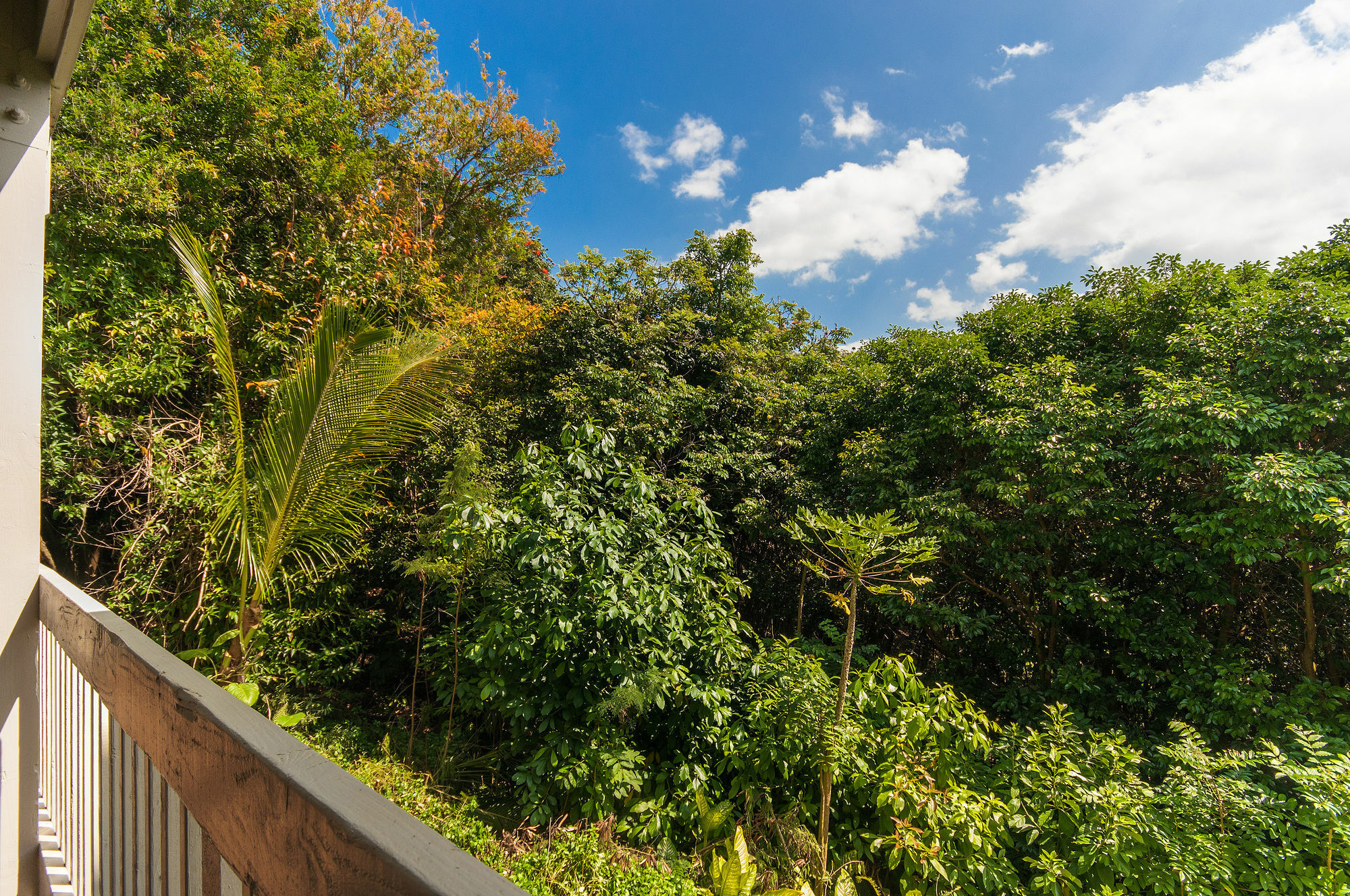 Princeville Oceanfront Villas Kauai エクステリア 写真